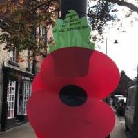 Our sponsored Poppy in Llanidloes Town Centre