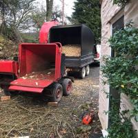 Chipping Logs