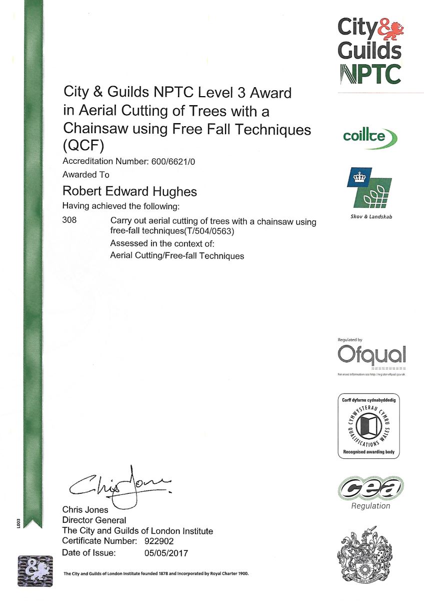 Aerial Cutting Trees with a Chainsaw using Free Fall Techniques