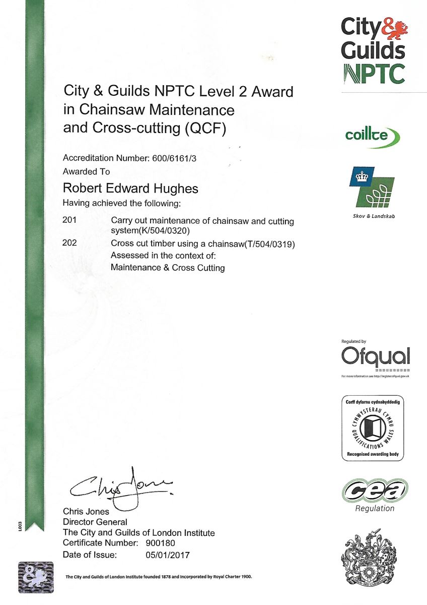 Chainsaw Maintenence and Cross Cutting