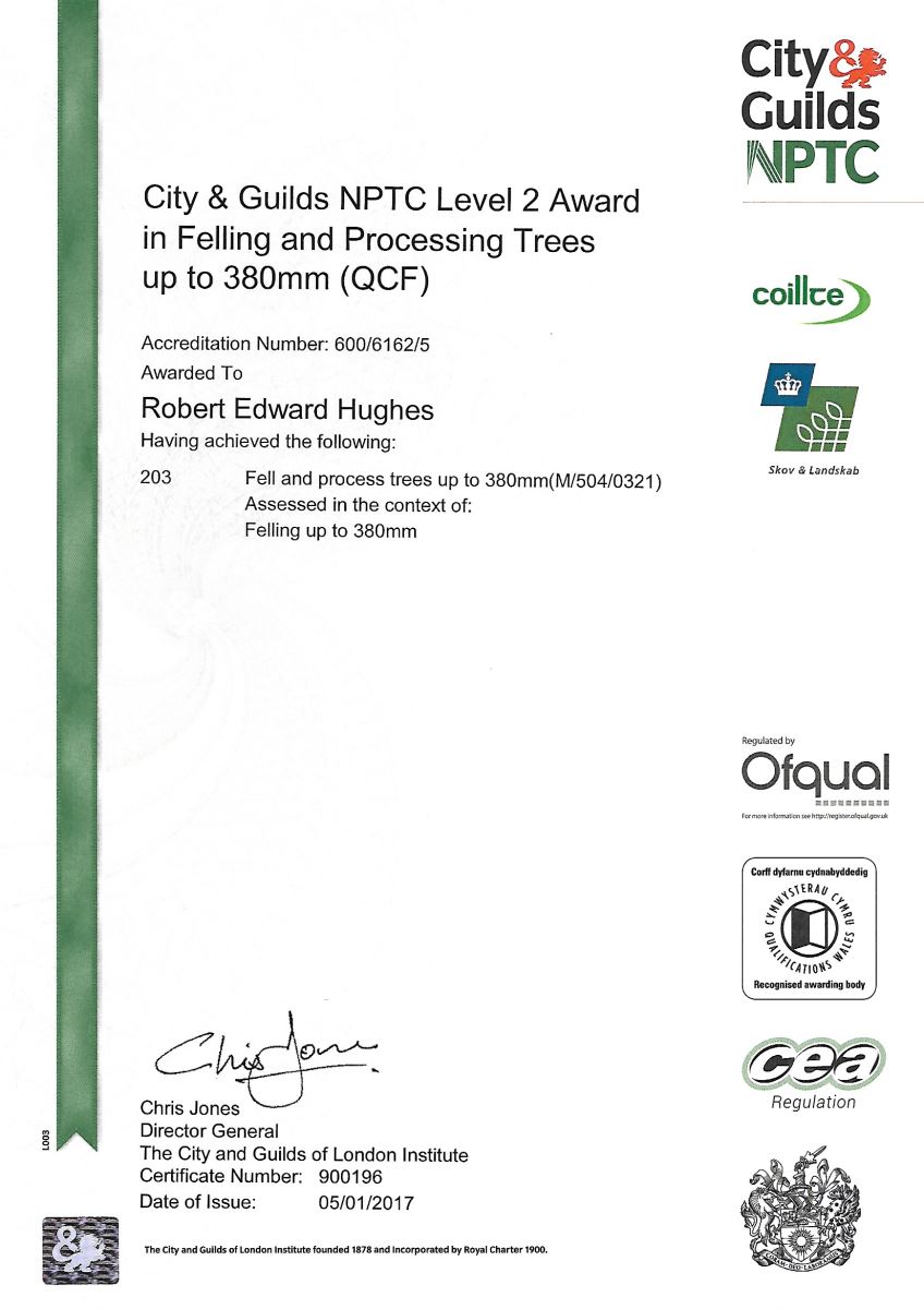 Felling and Processing Trees up to 380mm
