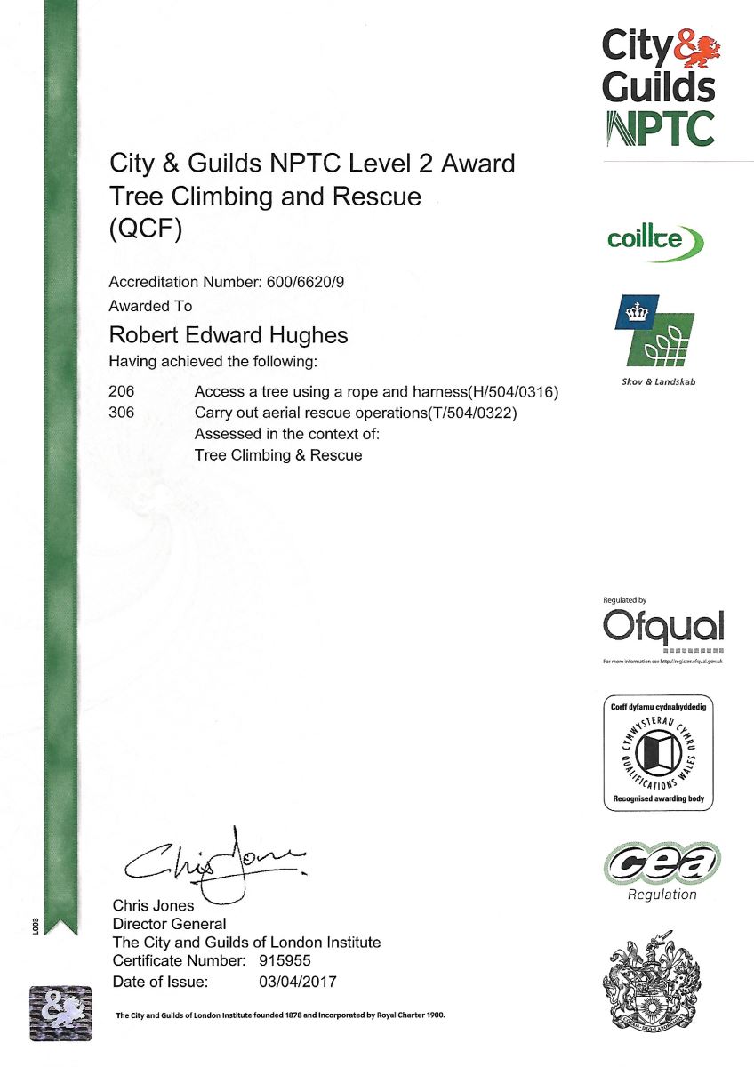 Tree Climbing and Aerial Rescue